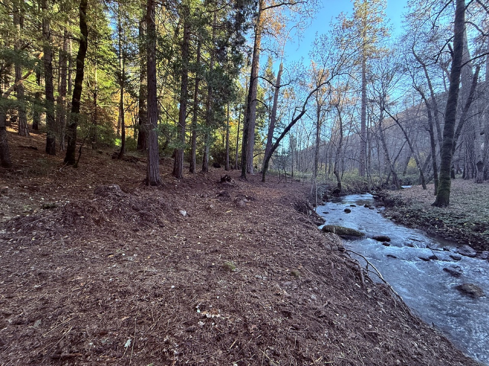 Creek flowing through the property with mountain views