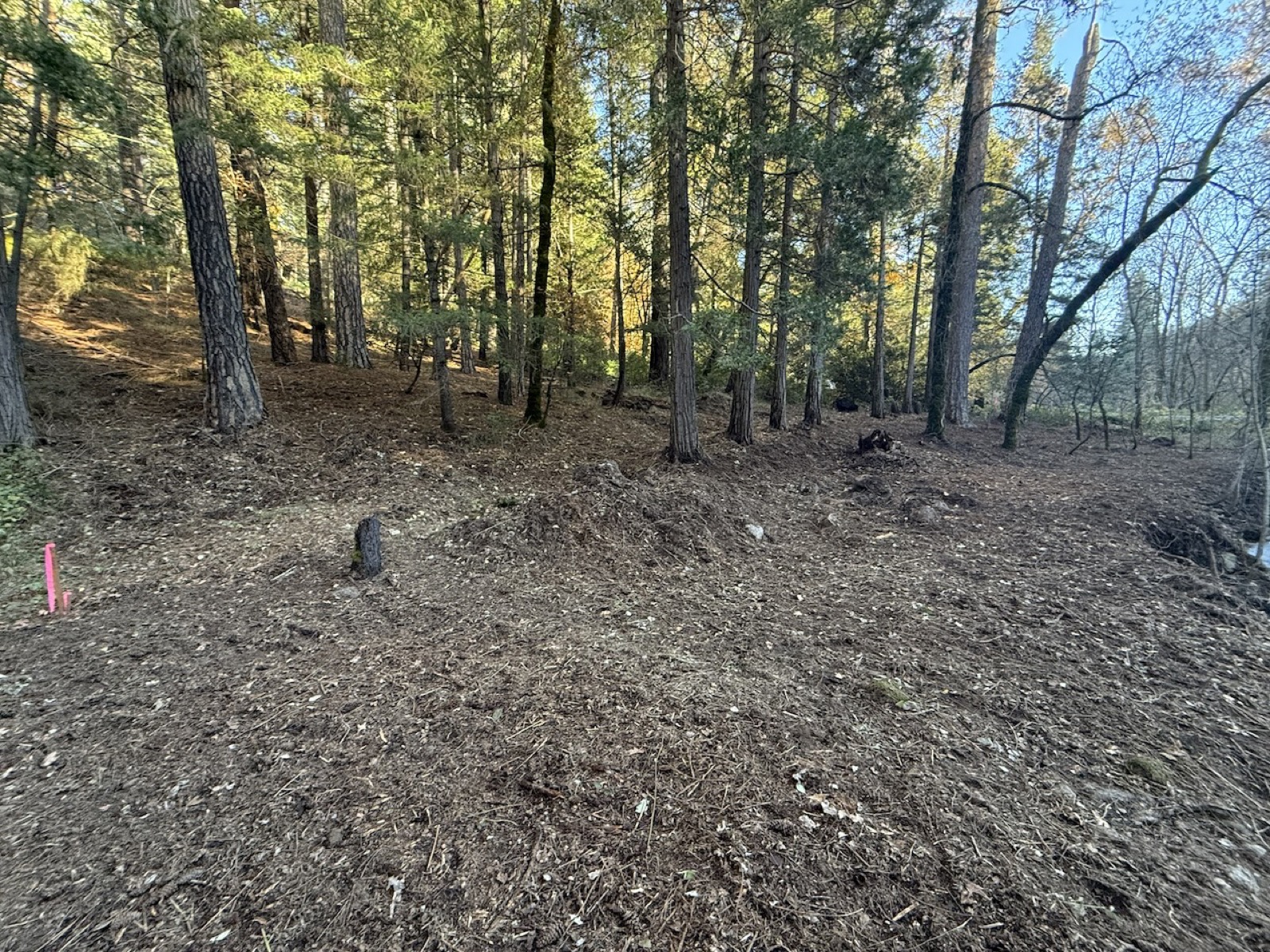 Building site with surveyor markers