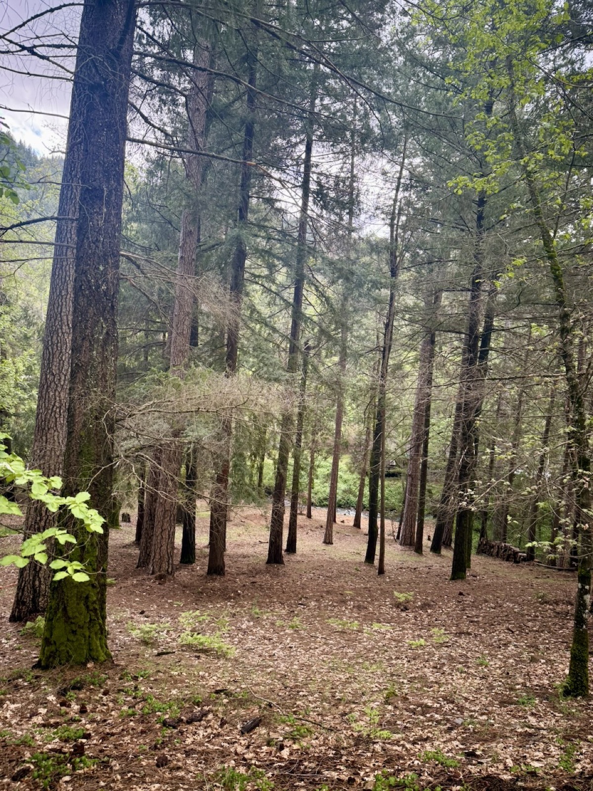 Landscape and terrain views